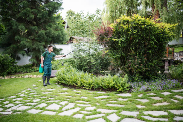 Best Best Pest Control Companies  in Round Lake Beach, IL