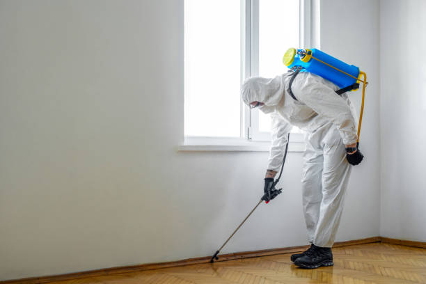 Best Bed Bug Extermination  in Round Lake Beach, IL