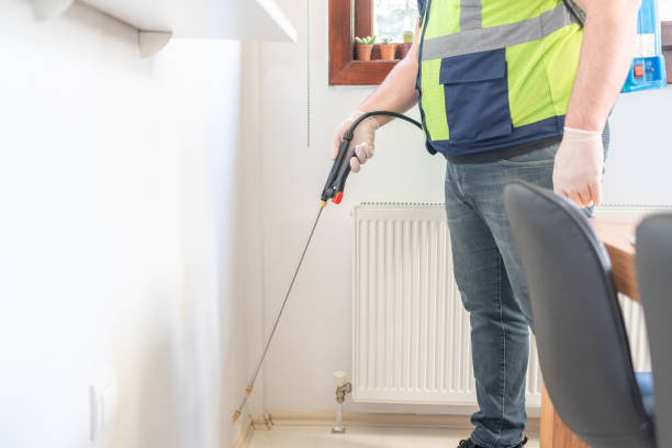 Best Bed Bug Extermination  in Round Lake Beach, IL